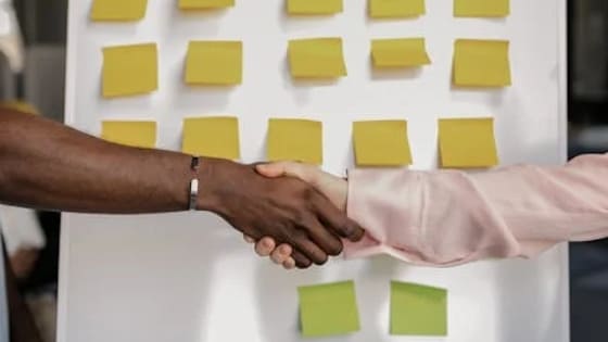 Marketing de Afiliados